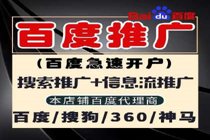 百度竞价排名案例解析：如何快速提升网站流量